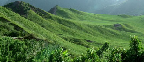 東方龍商務集團助力新疆烏什縣委托招商引資，推進產(chǎn)業(yè)發(fā)展集聚